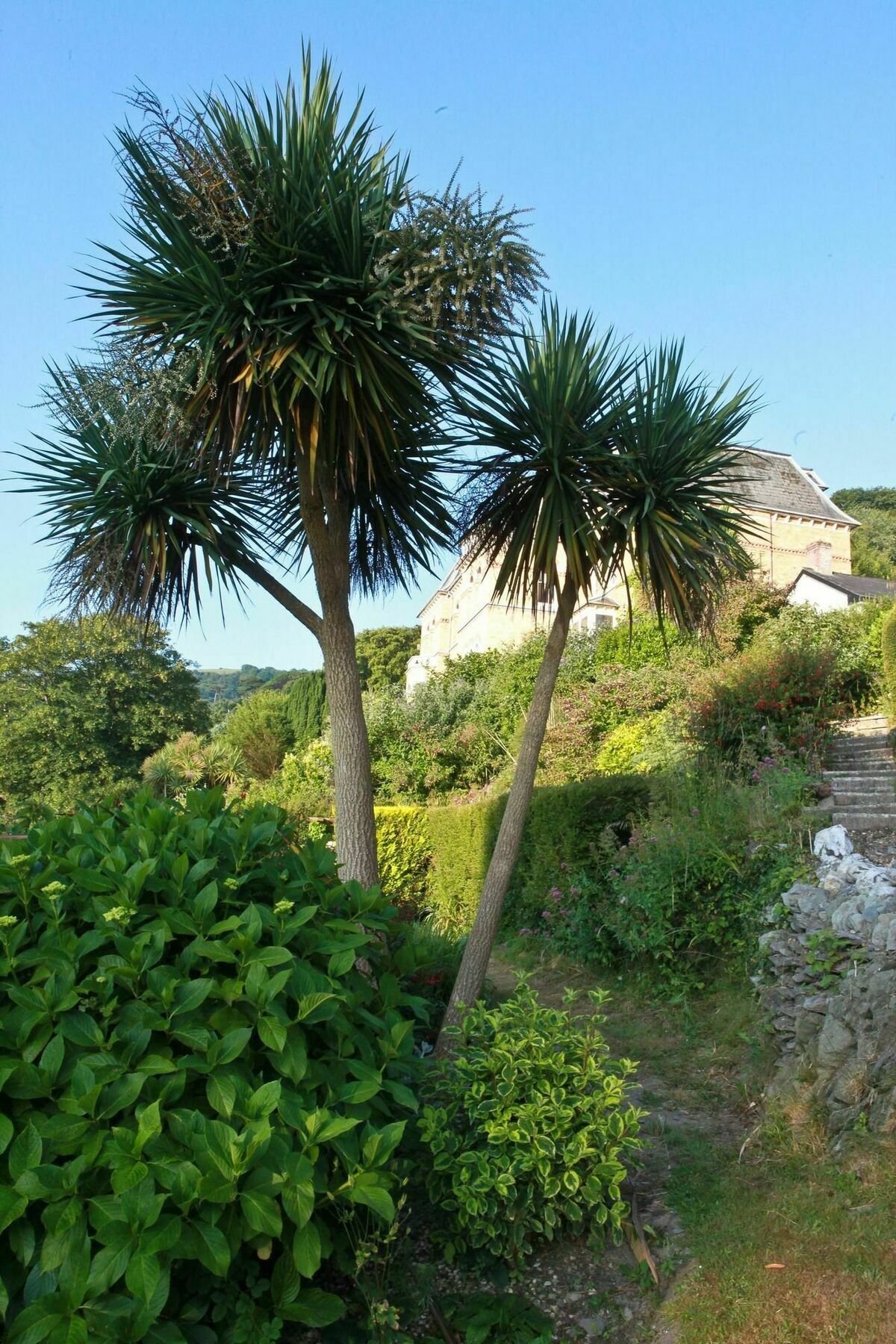 Epchris House Hotel Ilfracombe Exterior foto